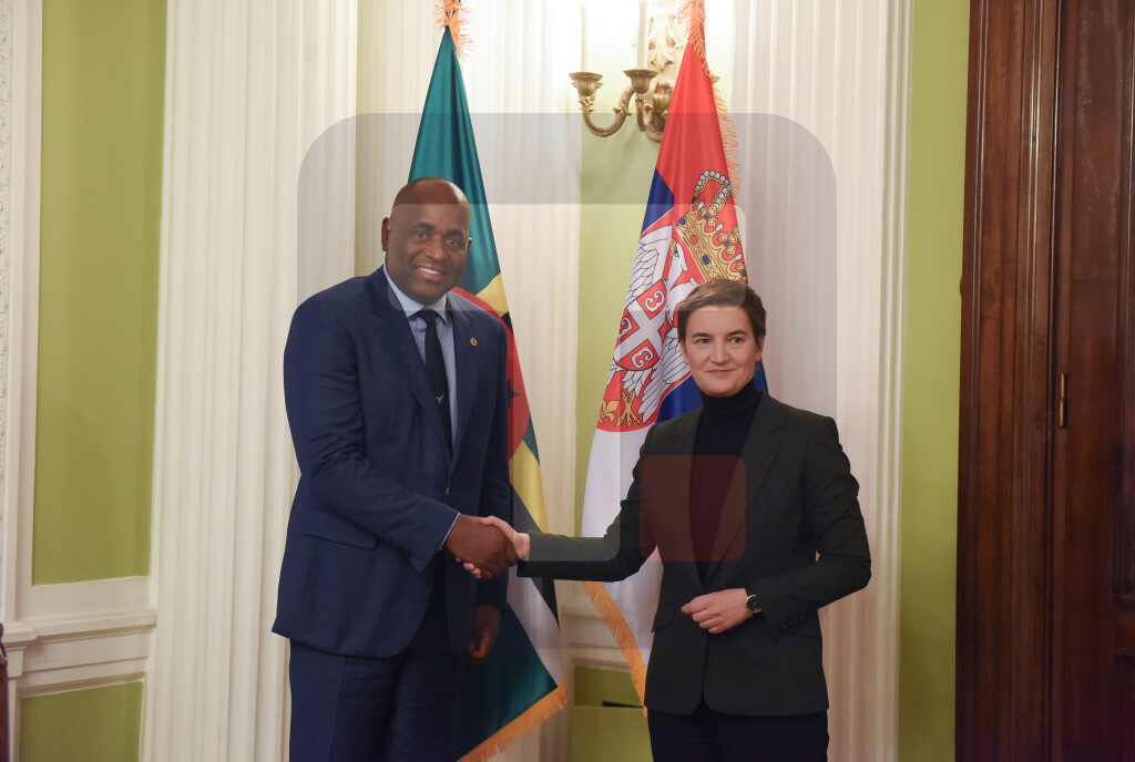 Brnabić sa predsednikom Vlade Dominike:Potvrđeno prijateljstvo dve zemlje
