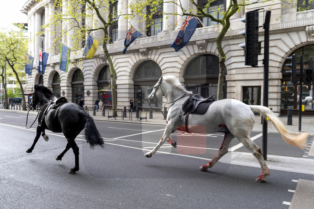 Konji britanske konjice pobegli sa vežbe, jure centrom Londona, kaže policija