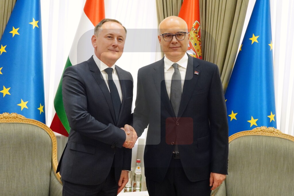 Premkijer Vučević primio ambasasora Mađarske