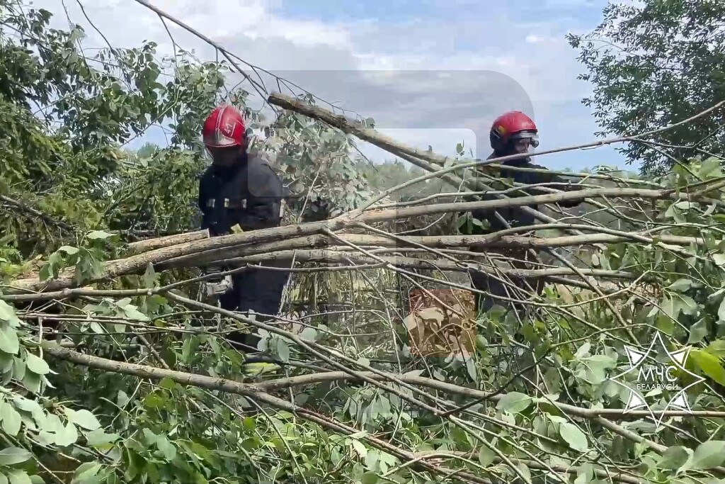 Šest osoba poginulo u snažnoj oluji koja je tokom vikenda pogodila Belorusiju