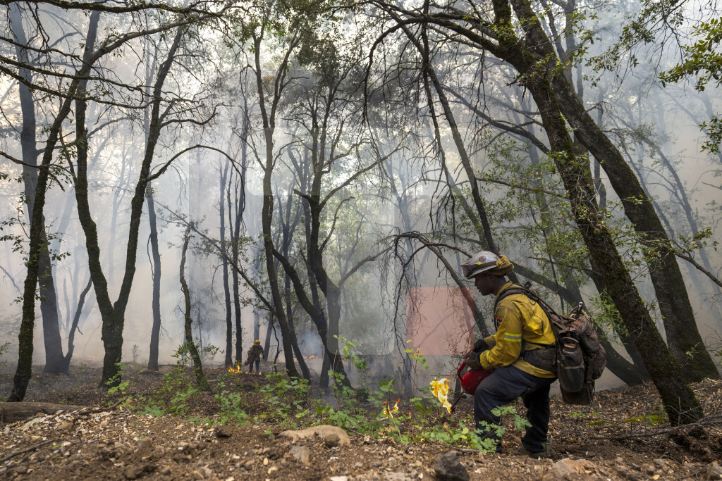Šumski požar u Kaliforniji se širi, hiljade vatrogasaca na terenu
