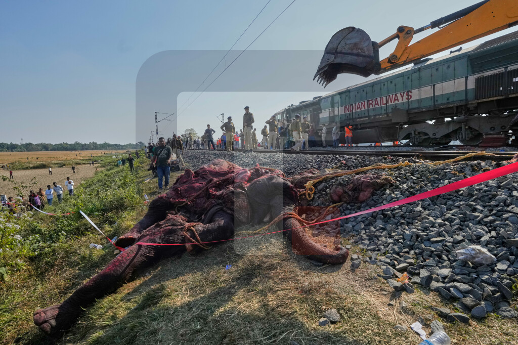 Osam slonova poginulo u sudaru s vozom u Indiji, pet vagona iskočilo iz šina