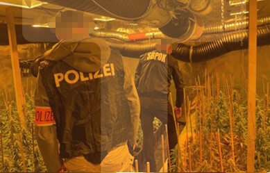 MUP: Uhapšeni članovi kriminalne grupe koja je prodavala drogu u Austriji i Srbiji