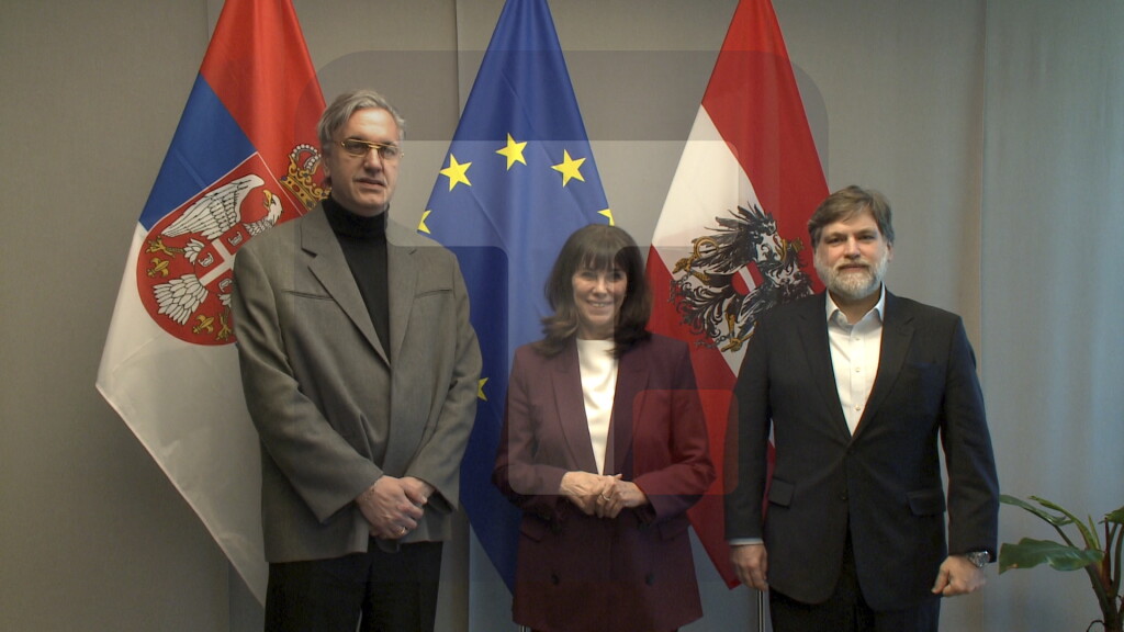 Čadež: Austrija traži rešenje za status naših vozača u EU