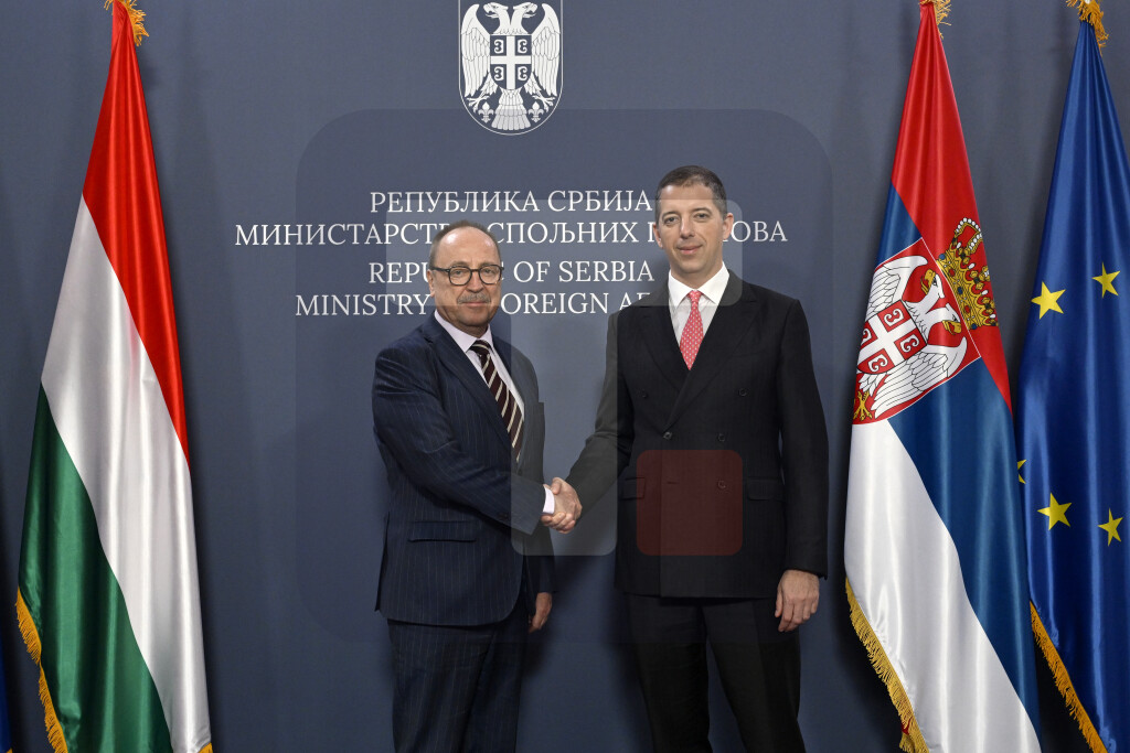 Đurić sa Žoltom Nemetom o unapređenju saradnje, odnosi SRB i MAĐ dostigli vrhunac