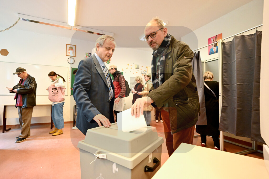 Do 11 sati 37,98 odsto Mađara glasalo na parlamentarnim izborima