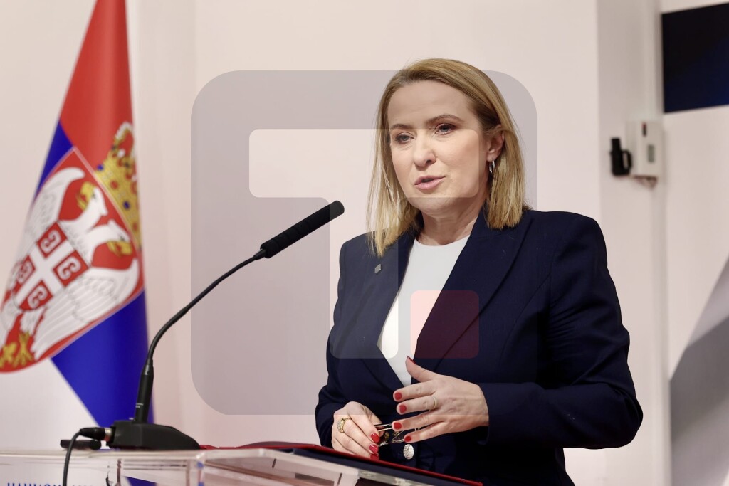 Paunović na skupu "Decenija od donošenja Zakona o opštem upravnom postupku"