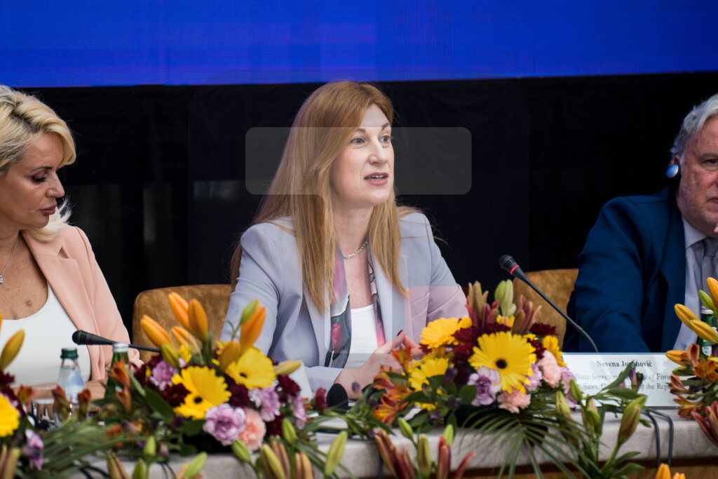Jovanović na konferenciji Instituta za Pojas i put