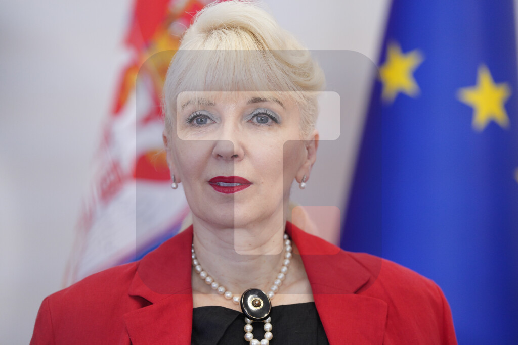 Lazarević:Srpske kompanije ponovo će biti uključene u brojne velike projekte u Libiji