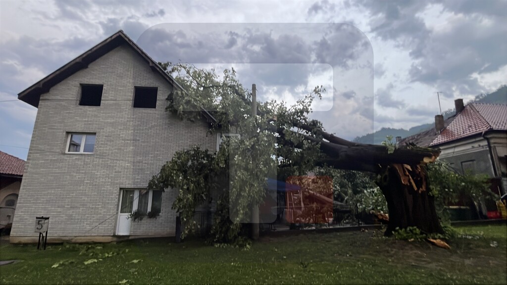 Jako nevreme pogodilo Guču, veliko drvo palo na kuću