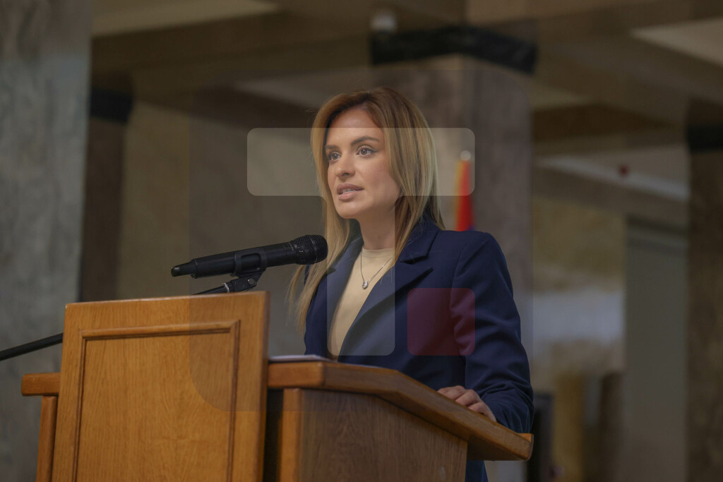 Đurđević Stamenkovski: Inkluzija je zajednička obaveza čitavog društva