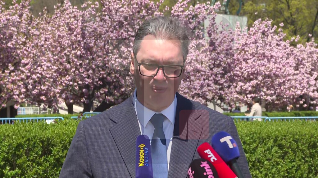 Vučić: Zahvalni smo svim zemljama, ali nama ugled Srbije najviše pomaže