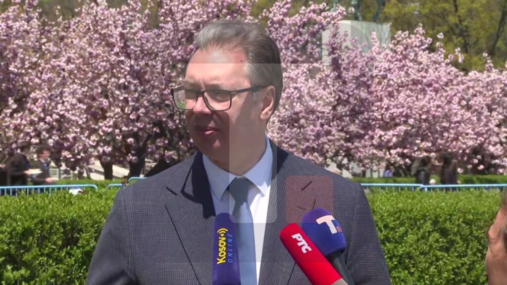 Vučić: Zahvalni smo svim zemljama, ali nama ugled Srbije najviše pomaže