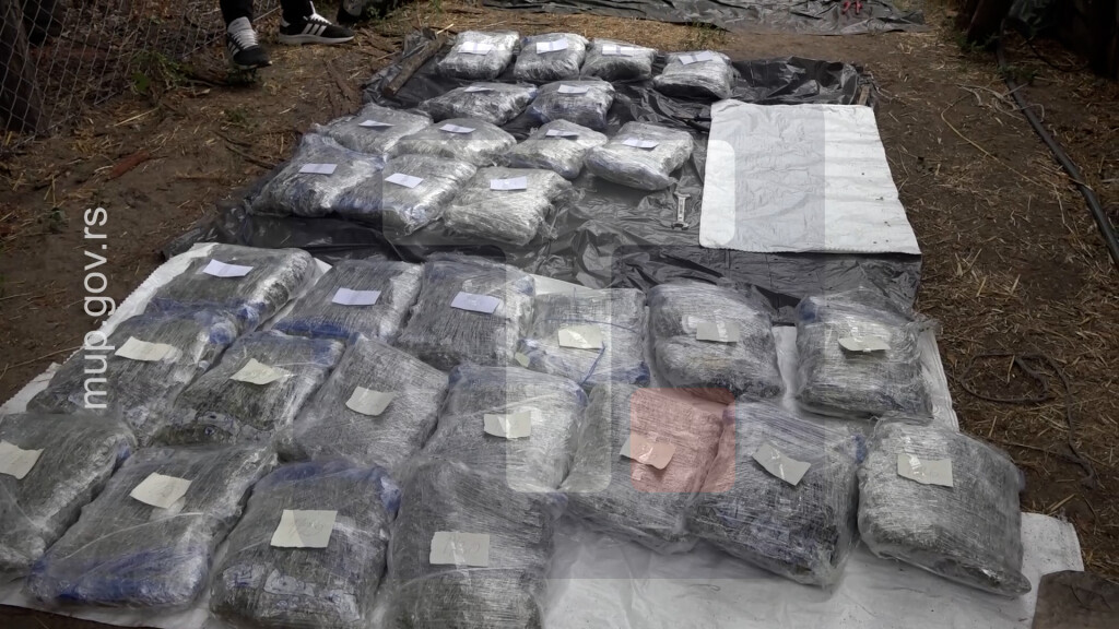 Policija u Subotici zaplenila više od 32 kilograma marihuane, uhapsila dve osobe