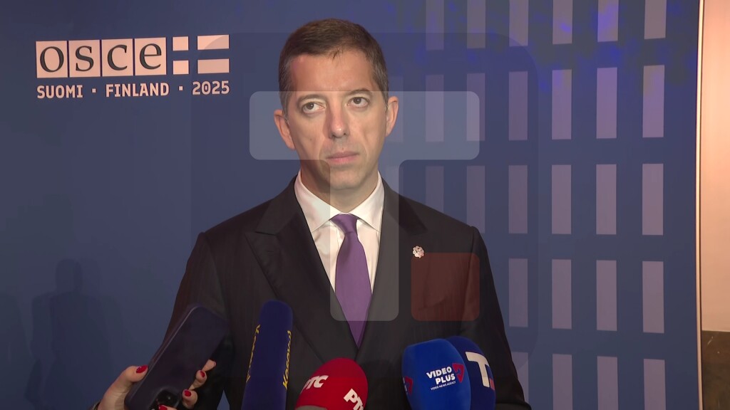 Đurić: Sbija podržava OEBS kao instrument mira, očekujemo da OEBS podrži prava Srba na KiM