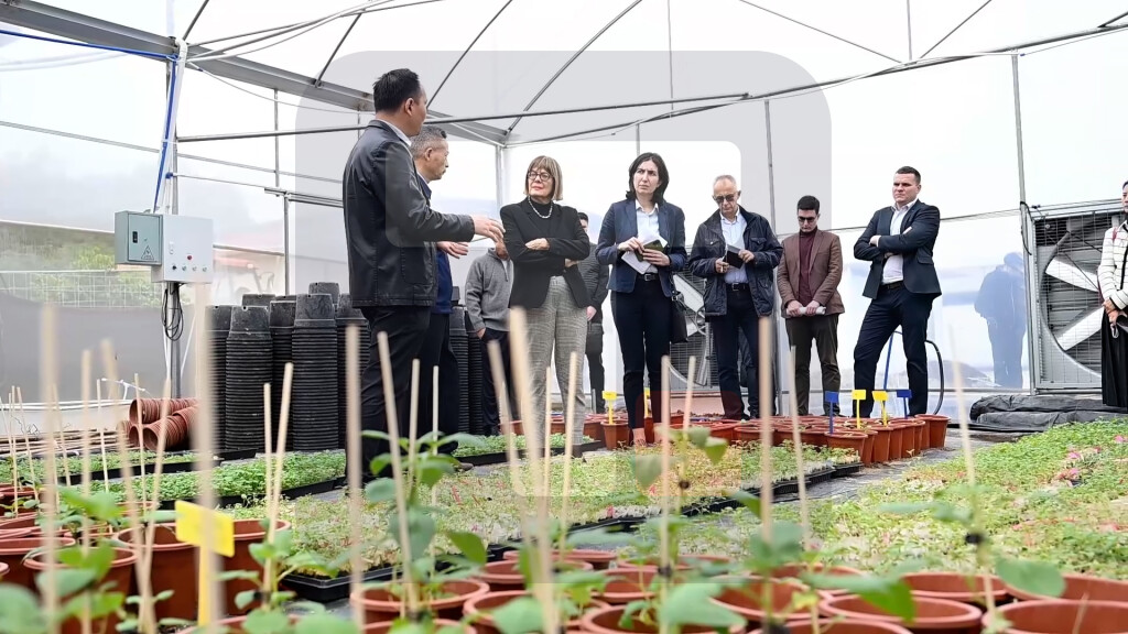 Gojković: Veliko interesovanje Kineza za saradnju sa istraživačkim inst. Vojvodine