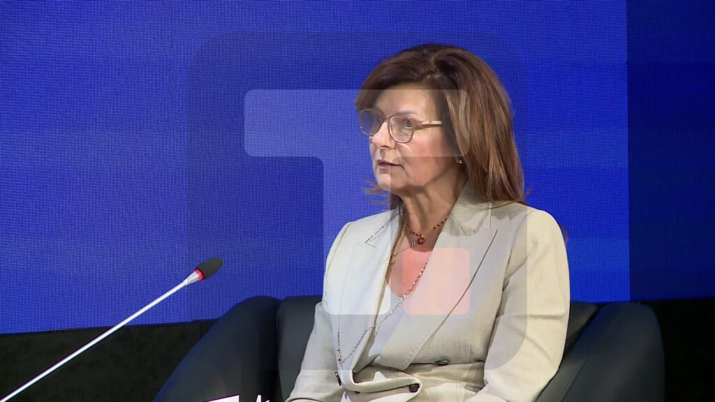 Panelisti: Srbija se kao i svet bori sa starenjem i smanjenjem broja stanovnika