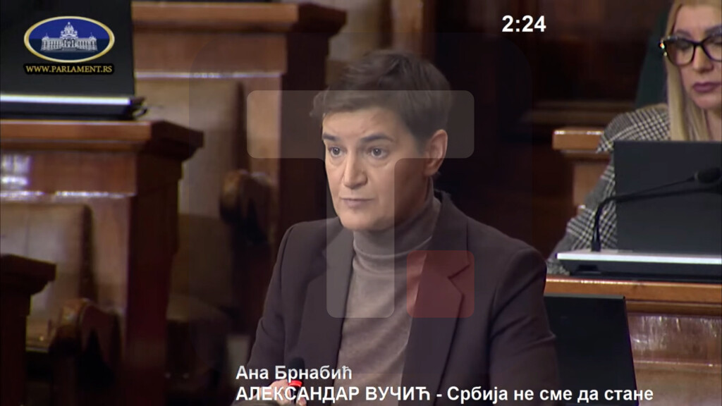 Brnabić: CG i Albanija nemaju opoziciju koja se u inostranstvu žali na svoju zemlju