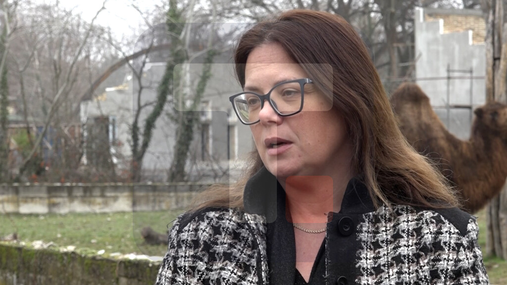 Mandić: Sve životinje u Palićkom Zoo vrtu imaju kvalitetnu hranu i negu