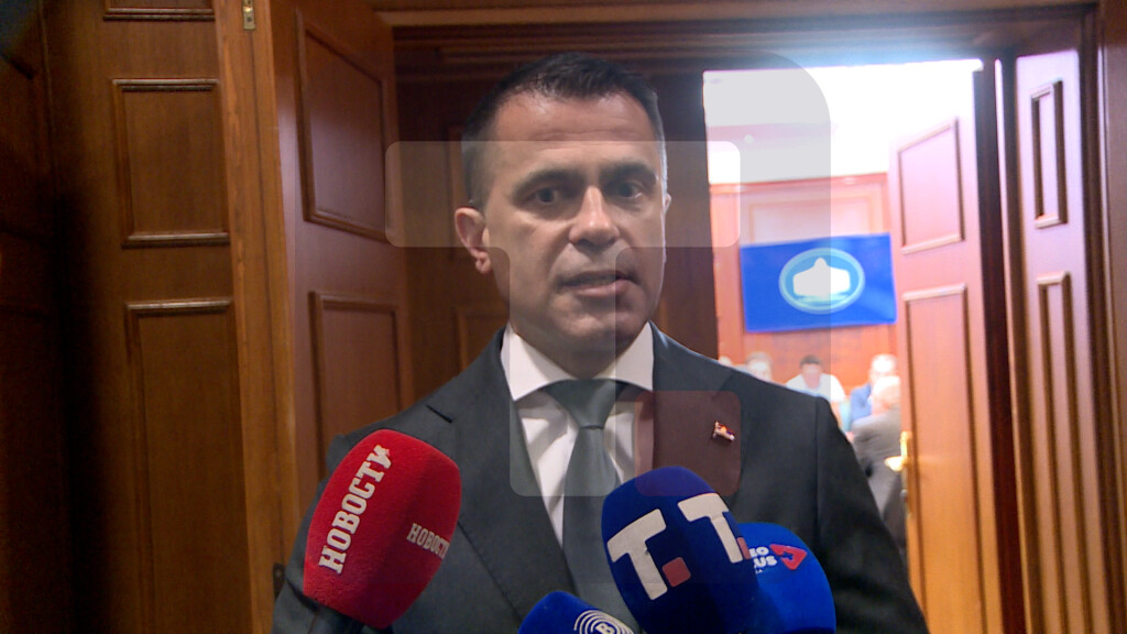 Milićević: Svi gradovi i opštine važni u stvaranju čvršće veze matice i dijaspore