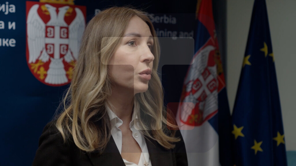 Đedović Handanović: Srbija treću godinu lider u reformama u okviru Energetske zajednice