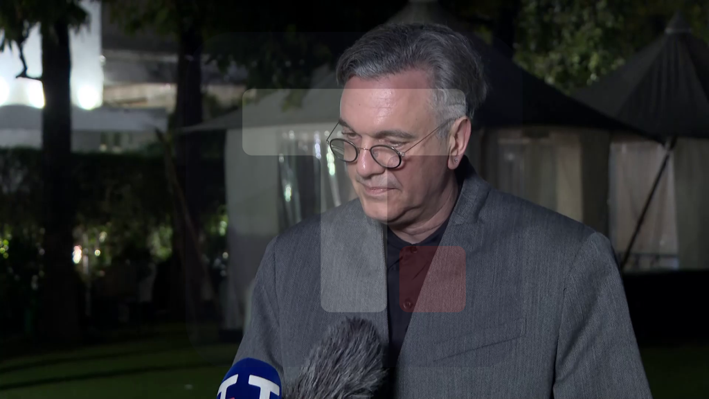 Čadež: Nacionalna AI platforma u fokusu paviljona Srbije na Samitu u Indiji