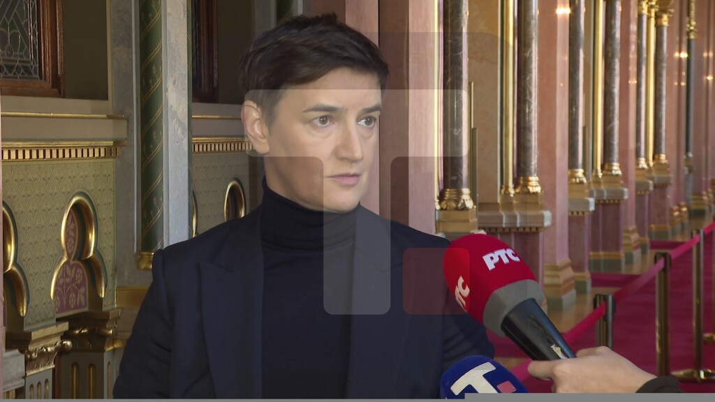 Brnabić: Srbija na evropskom putu, EU treba da primeni jednake standarde prema kandidatima