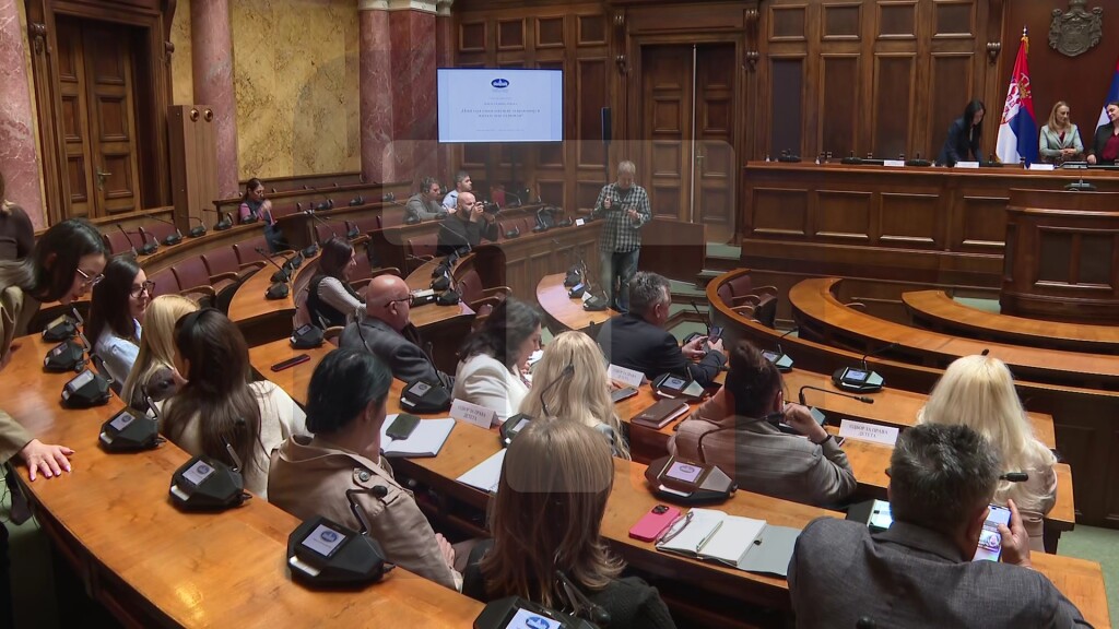 Odbor za prava deteta: Država opredeljena da unapredi sistem zaštite dece od nasilja