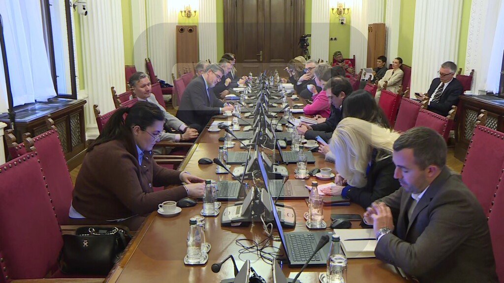 Starović predstavio izveštaj o pregovorima tokom danskog predsedavanja