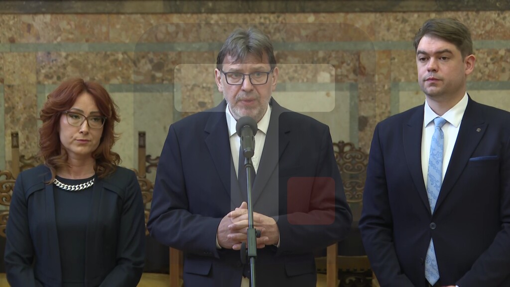 Žigmanov: Poštovaćemo svaku odluku o izborima, to pitanje rešiti na dobrobit građana