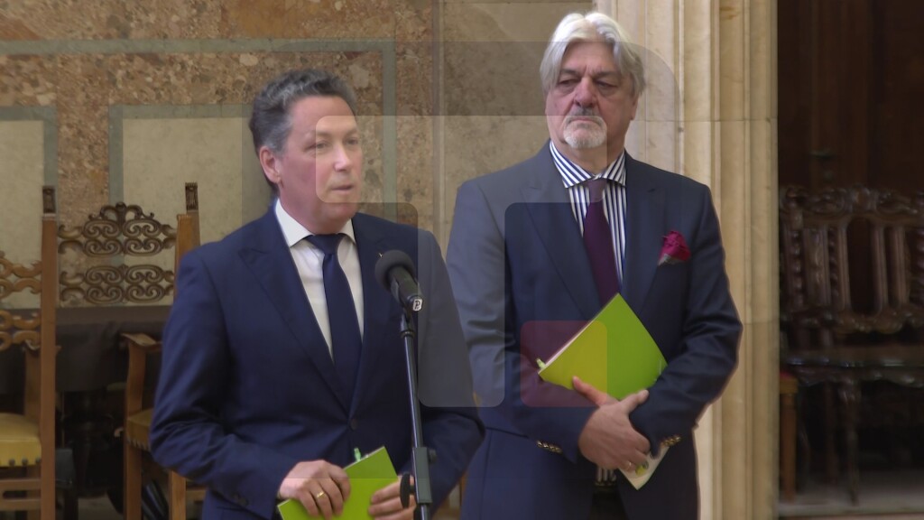 Karić: Izbori da se održe kada predsednik proceni da je najbolje