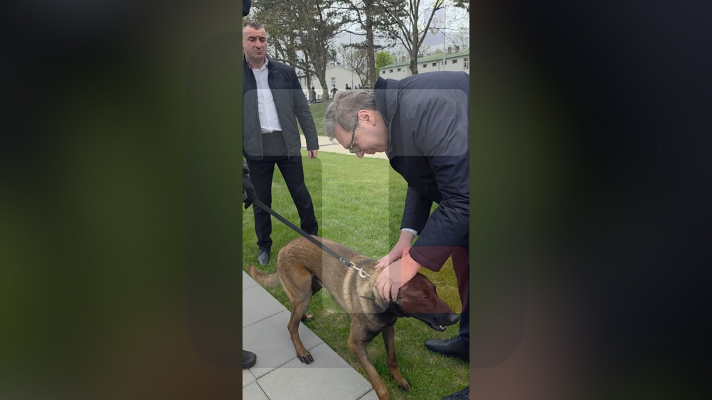 Vučić: Milutin je takođe "kobra" - neumoljiv, opasan i beskrajno odan