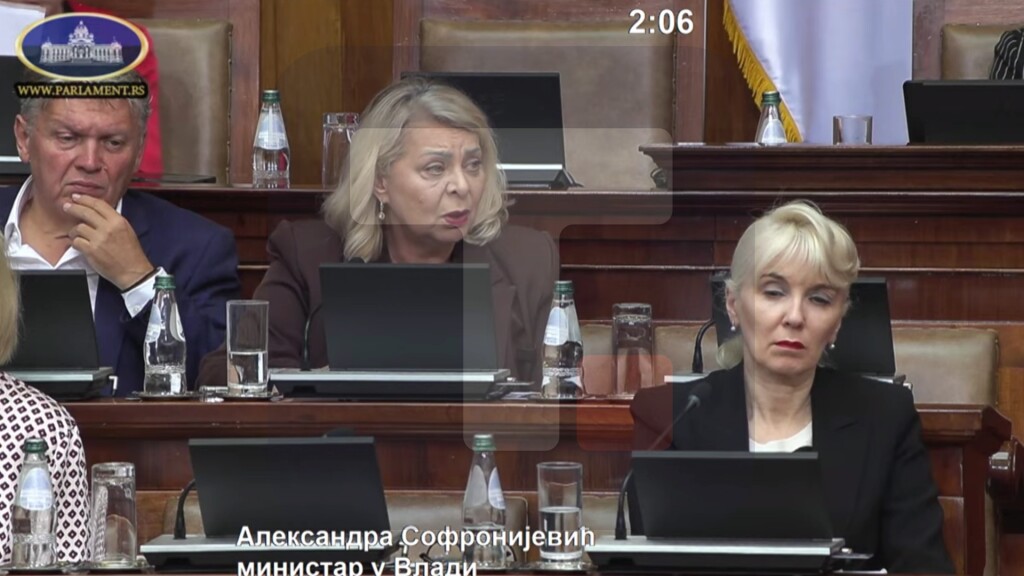 Sofronijević: Na pruzi BG-SU nije bilo greške, oba iskliznuća voza zbog ljudske greške