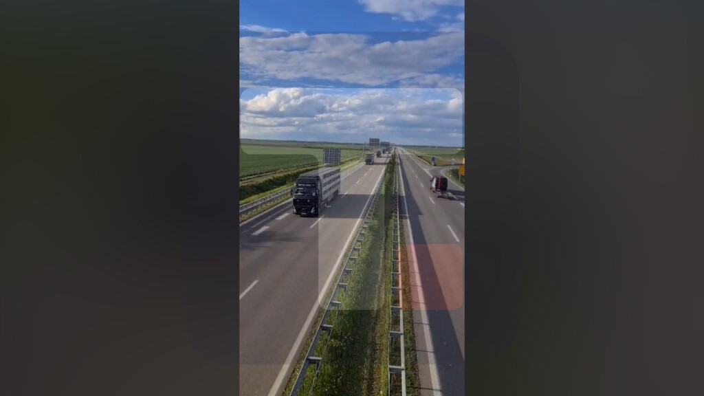 Ministarstvo: Otvoreno još jedno tržište, Srbija izvezla 8.000 jagnjadi u Libiju