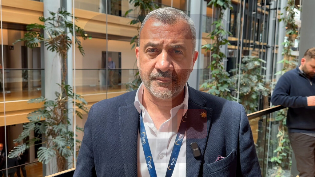 Furlas: Nema proširenja EU bez Srbije, podneo sam amandmane na Piculin izveštaj