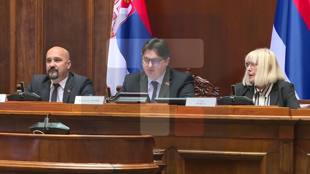 U Beogradu održano četvrto javno slušanje o izbornim zakonima