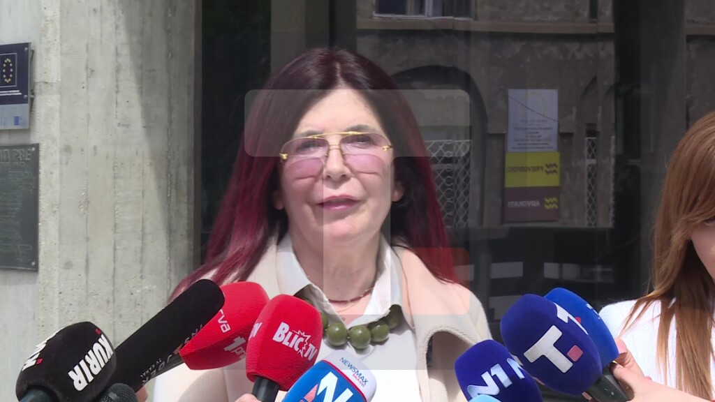 Dobričanin Nikodinović: Osetila sam zastrašivanje od strane Vladimira Kecmanovića
