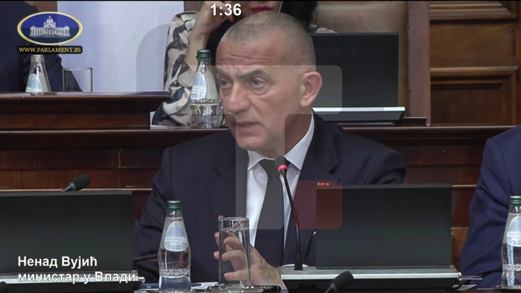 Vujić: Srbija je sama zatražila konsultativno mišljenje Venecijanske komisije