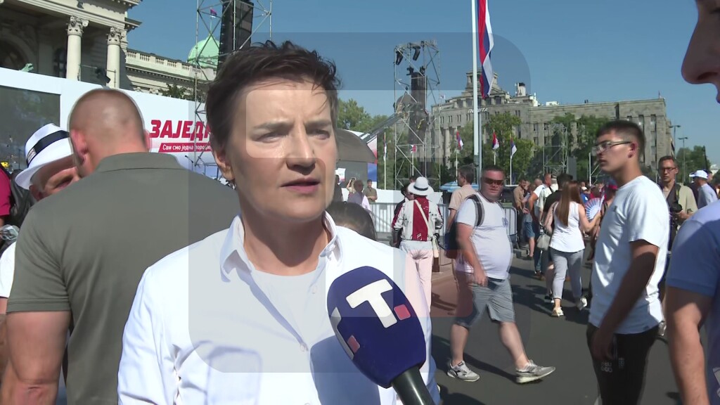 Brnabić: Građani koji pristižu na skup već poslali poruku da je Srbija jedna porodica