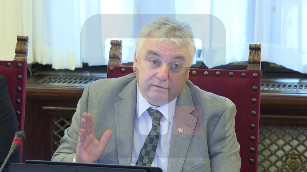 Kolgan: Tri prioriteta predsedavanja Irske Savetom EU
