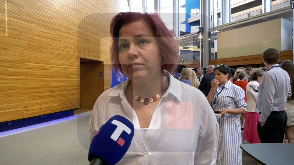 Viček: Usvajanje izveštaja bilo očekivano, izveštaj je prilično neujednačen