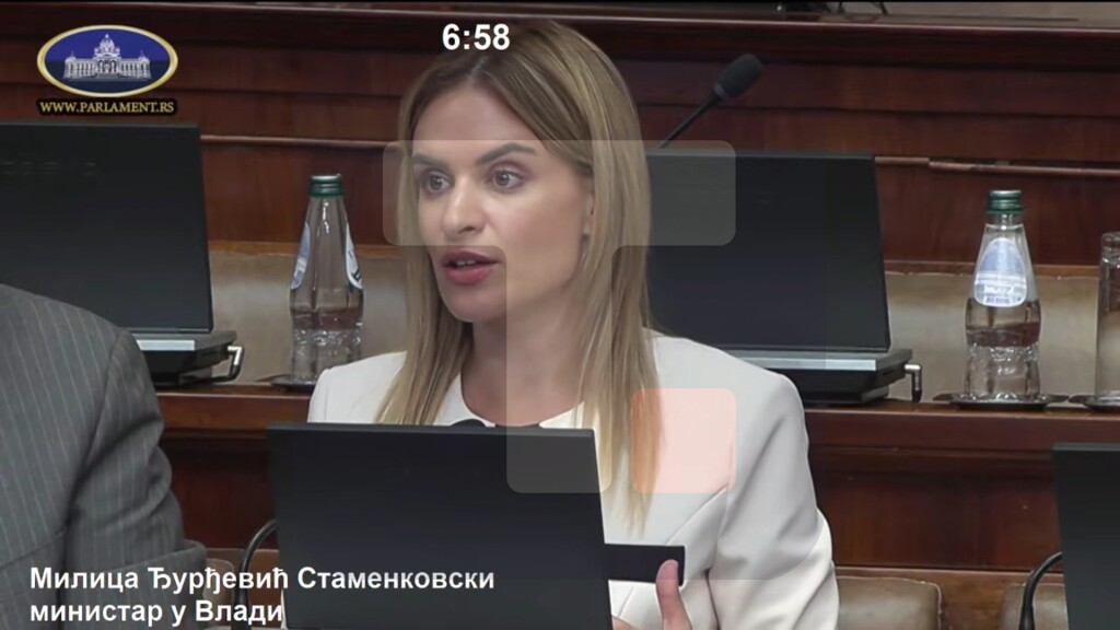 Đurđević Stamenkovski: Predlog zakona o roditeljima negovateljima nije zakon koji primarno utvrđuje prava same dece već roditelja