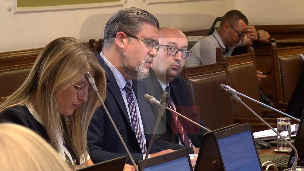 Starović: U prvom tromesečju 2026. usvojeno 10 od 60 propisa u realizaciji NPPA