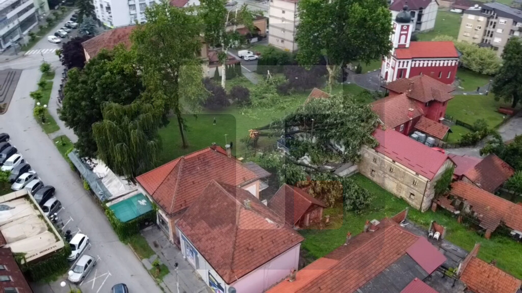 Jako nevreme pogodilo Guču, veliko drvo palo na kuću