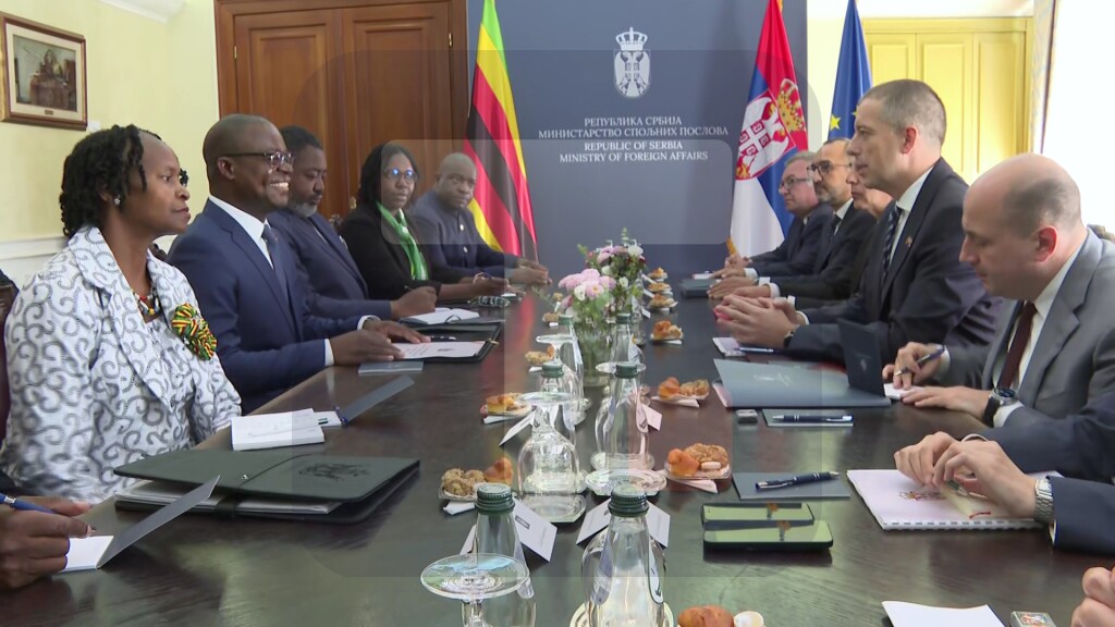 Đurić se sastao sa ministrom spoljnih poslova Zimbabvea Amonom Murvirom