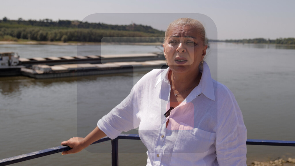 Sofronijević: Država preduzima sve mere da očuva bezbednost plovidbe
