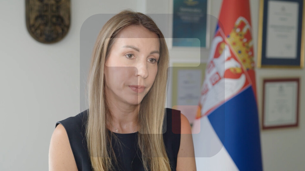 Đedović: Neophodno održati sigurnost snabdevanja strujom zbog niskog vodostaja Dunava