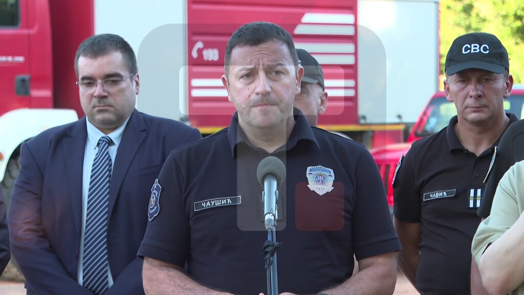Čaušić: Situacija sa požarima u Deliblatskoj peščari trenutno mirnija