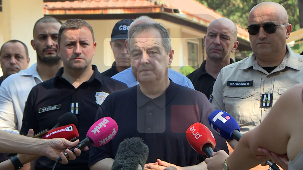 Dačić: Broj žarišta u Deliblatskoj peščari sveden sa 64 na 3,najvažnije da nema žrtava