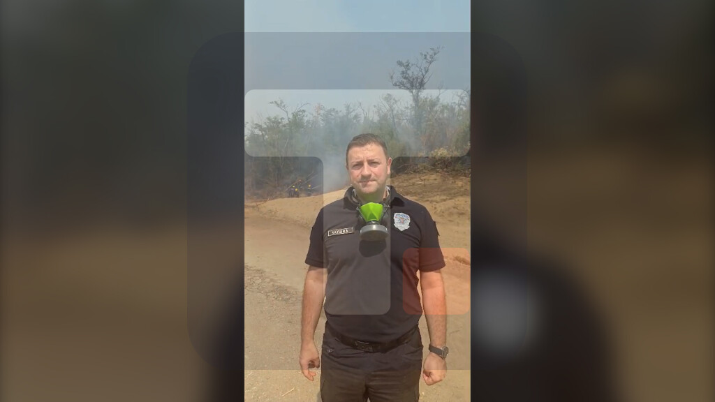 Čaušić: Vetar počeo da širi požar u Deliblatskoj peščari, naselja nisu ugrožena